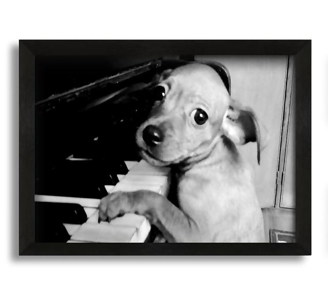 Piano Pup - Picture Frame Photograph on Canvas Latitude Run Size: 21cm H x 30cm W x 10cm D on Productcaster.