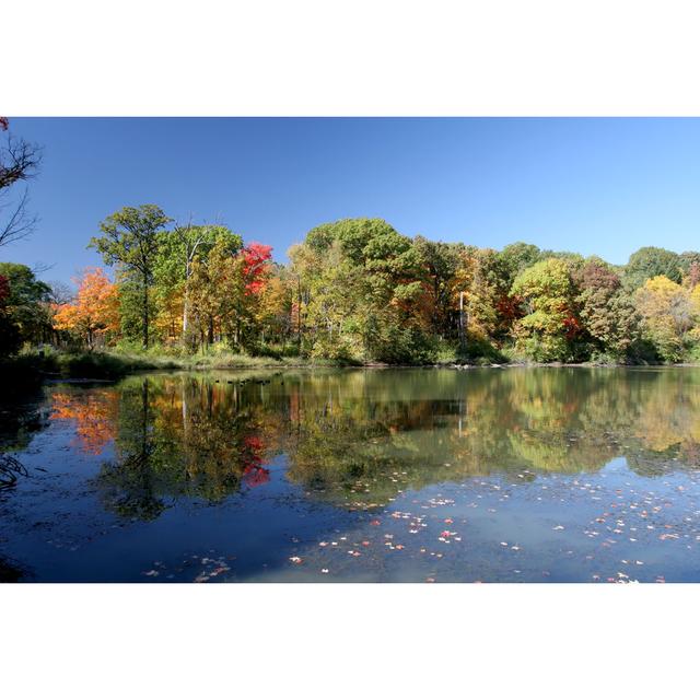 Autumn Lake In Illinois by Stevegeer - Print Alpen Home Size: 61cm H x 91cm W on Productcaster.