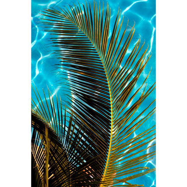 Palm Leaf Over A Pool von Jodi Jacobson - Kunstdrucke auf Leinwand Sansibar Home Größe: 90 cm H x 60 cm B on Productcaster.