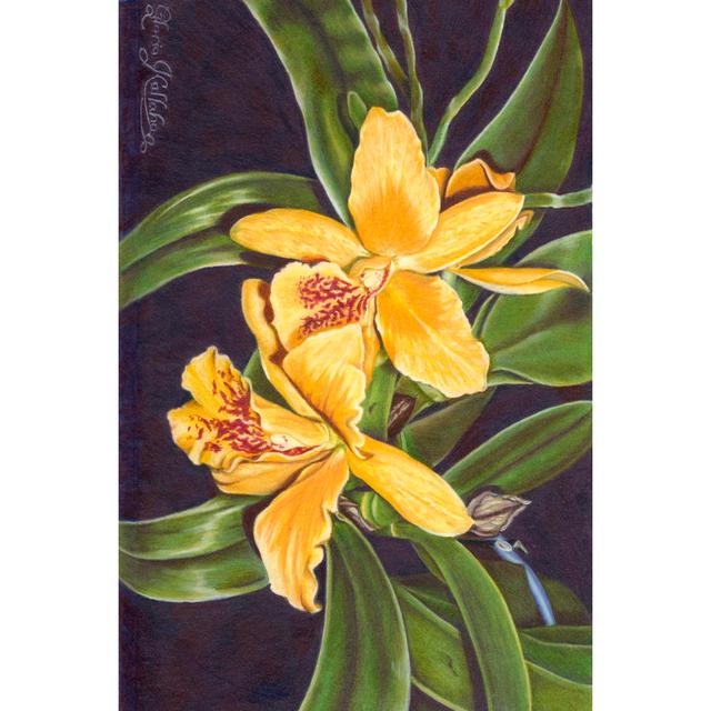 Vibrant Orchid I - Wrapped Canvas Art Prints Rosalind Wheeler Size: 30cm H x 20cm W x 3.8cm D on Productcaster.