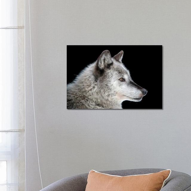 A Federally Endangered Gray Wolf At The Alaska Zoo by Joel Sartore - Gallery-Wrapped Canvas Giclée on Canvas Alpen Home Size: 45.72cm H x 66.04cm W x on Productcaster.