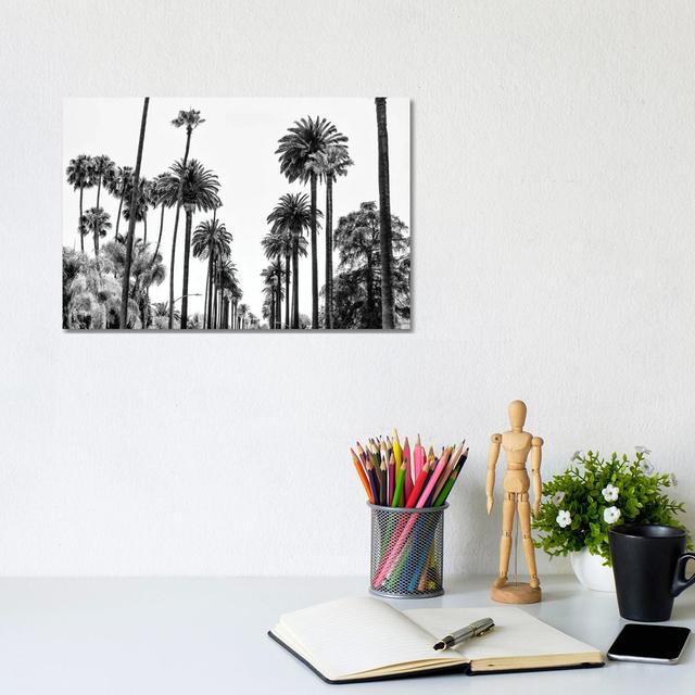 L.A Palm Alley by Philippe Hugonnard - Wrapped Canvas Photograph on Canvas Bay Isle Home Size: 20.32cm H x 30.48cm W x 1.91cm D on Productcaster.