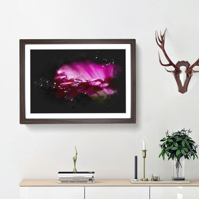 Pink Gerbera Flower Paint Splash - Picture Frame Graphic Art East Urban Home Size: 45cm H x 63cm W x 2cm D, Frame Option: Walnut Framed on Productcaster.