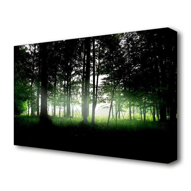 Woodland Mist Landscape - Wrapped Canvas Photograph Print East Urban Home Size: 66 cm H x 101.6 cm W on Productcaster.