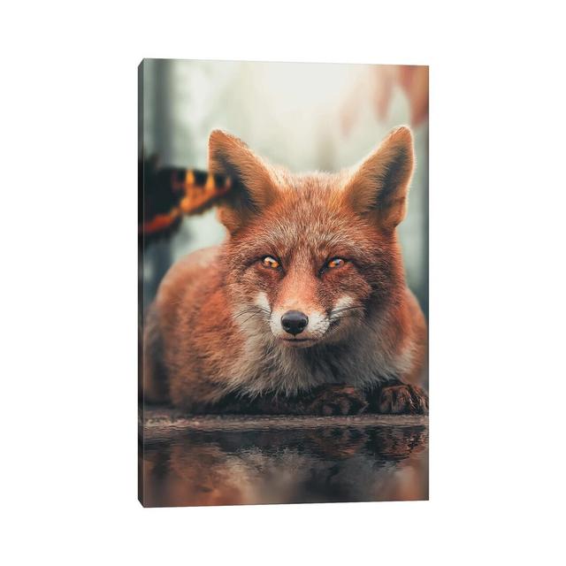 Fox Reflection Butterfly by Zenja Gammer - Photograph Print on Canvas Union Rustic Format: Wrapped Canvas, Size: 66.04cm H x 45.72cm W x 3.81cm D on Productcaster.