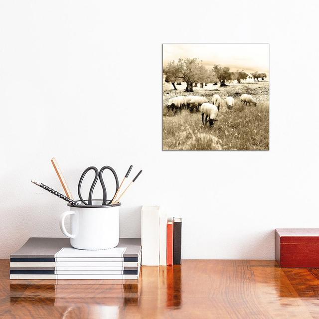 Out In The Fields by Ynon Mabat - Wrapped Canvas Print Brambly Cottage Size: 30.48cm H x 30.48cm W on Productcaster.