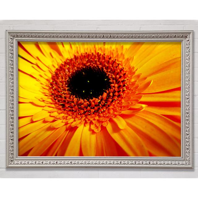 Golden Gerbera Centre - Print August Grove Format: White Framed Paper, Size: 84.1cm H x 118.9cm W x 3cm D on Productcaster.