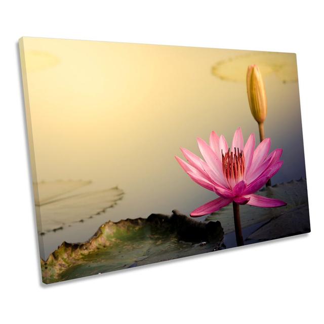 Water Lily Pink Sunset - Wrapped Canvas Print Bloomsbury Market Size: 61cm H x 91.4cm W on Productcaster.