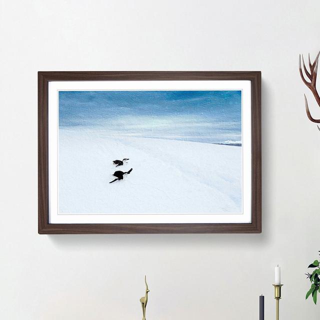 Playing Penguins - Picture Frame Painting Print East Urban Home Frame Option: Walnut Framed, Size: 36cm H x 48cm W x 2cm D on Productcaster.