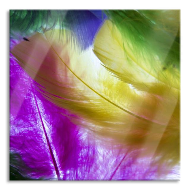 Glasbild "Colourful Feathers" Brayden Studio Größe: 40 cm H x 40 cm B x 0,4 cm T on Productcaster.