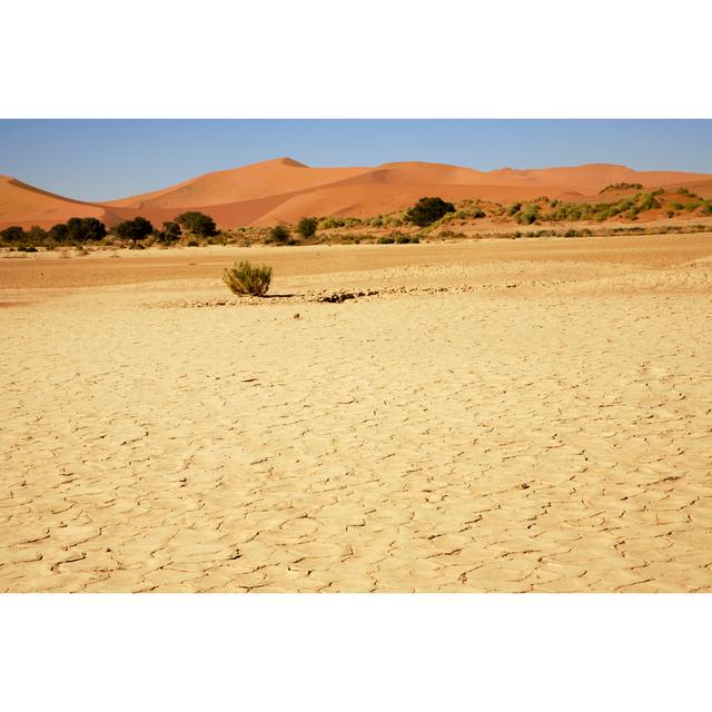 Namib Desert by Pinopic - No Frame Print on Canvas Natur Pur Size: 20cm H x 30cm W on Productcaster.