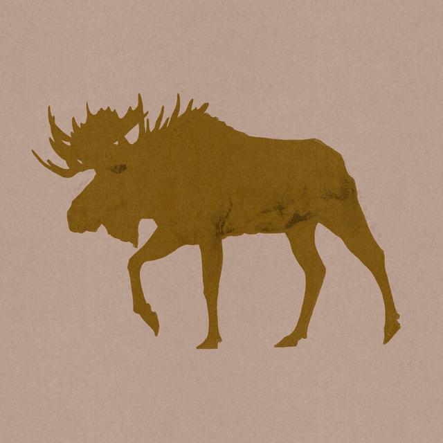 Golden Moose II by Jacob Green - Wrapped Canvas Graphic Art Union Rustic Size: 51cm H x 51cm W x 3.8cm D on Productcaster.