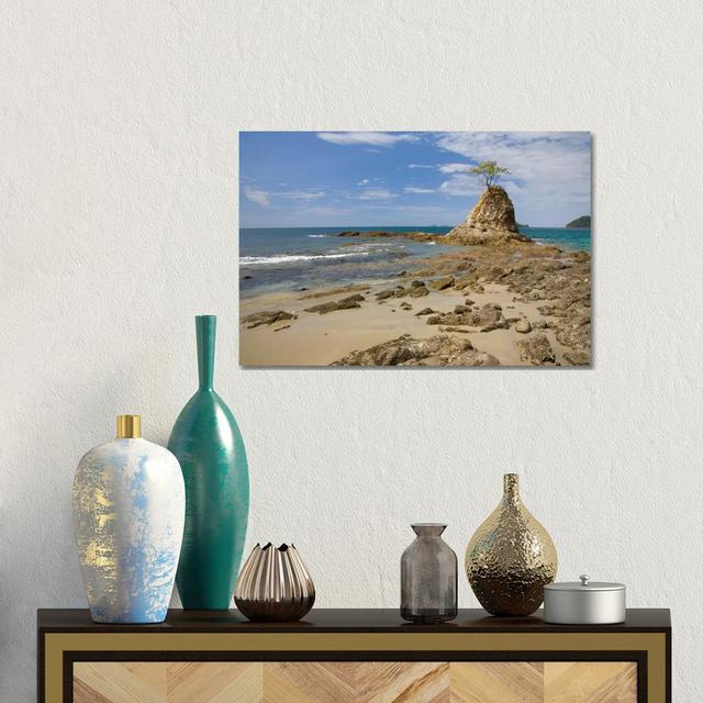 Point With Tree On Penca Beach, Costa Rica by Tim Fitzharris - No Frame Gallery-Wrapped Canvas Giclée on Canvas Beachcrest Home Size: 30.48cm H x 45.7 on Productcaster.