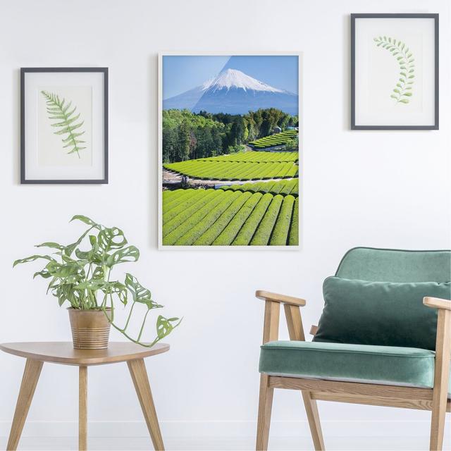 Tea Fields Before Fuji - Picture Frame Graphic Art August Grove Size: 70cm H x 50cm W x 2cm D, Frame Option: White Framed on Productcaster.