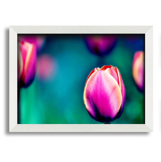 Pink Tulip Field - Single Picture Frame Art Prints Latitude Run Size: 21cm H x 29.7cm W on Productcaster.