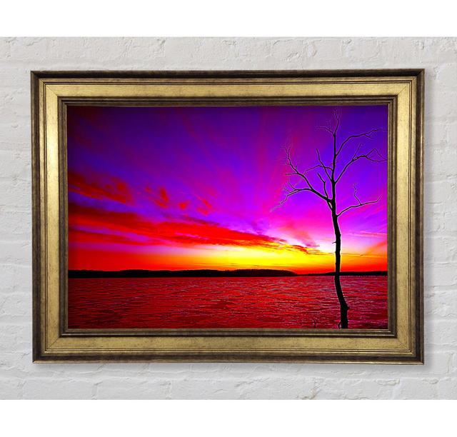 Sunset Tree Rainbow Skies - Print Bright Star Size: 21cm H x 42cm W x 8cm D on Productcaster.