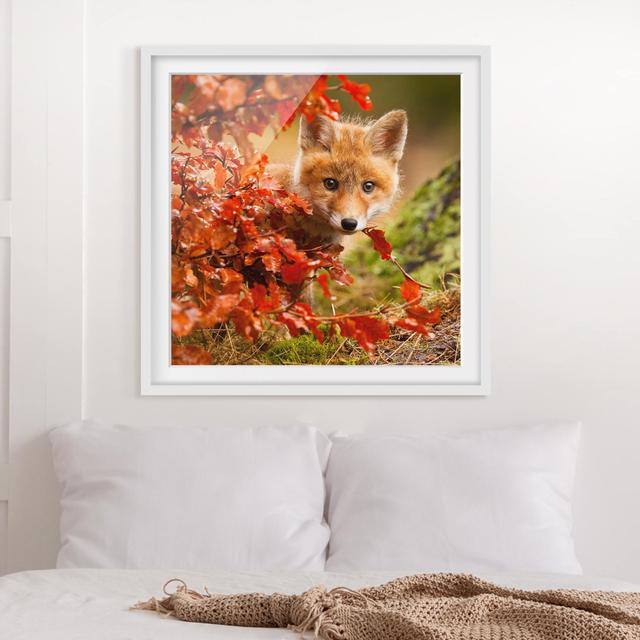 Gerahmtes Poster Fox in Fall East Urban Home Rahmenoptionen: Mattes Weiß, Größe: 70 cm H x 70 cm B on Productcaster.