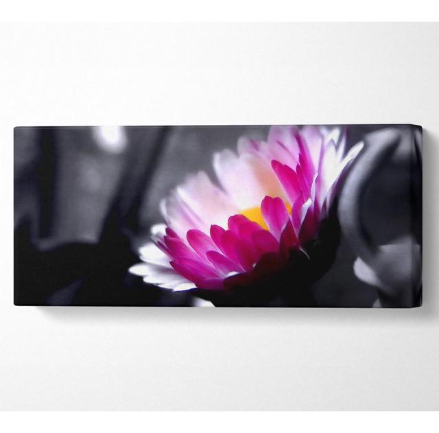 Pink Flower On Black And White Background Panoramic Canvas Ebern Designs Size: 81.3cm H x 183cm W x 10cm D on Productcaster.