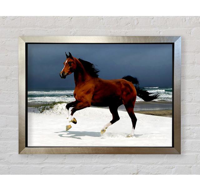 Galloping Horse - Print Bright Star Size: 84.1cm H x 118.9cm W x 3.4cm D on Productcaster.