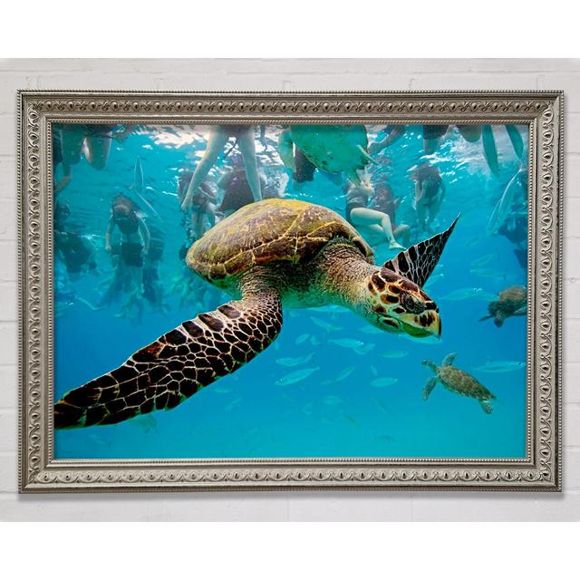 Sea Turtle Under Water Framed Print Highland Dunes Size: 21cm H x 29.7cm W on Productcaster.