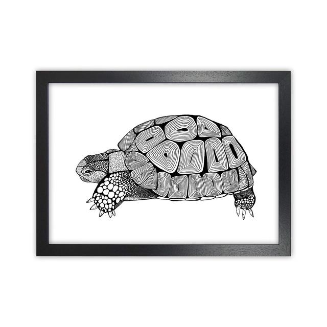 Tortoise by Carissa Tanton - Print 17 Stories Frame Option: Black Framed, Size: 46cm H x 63cm W x 3cm D on Productcaster.