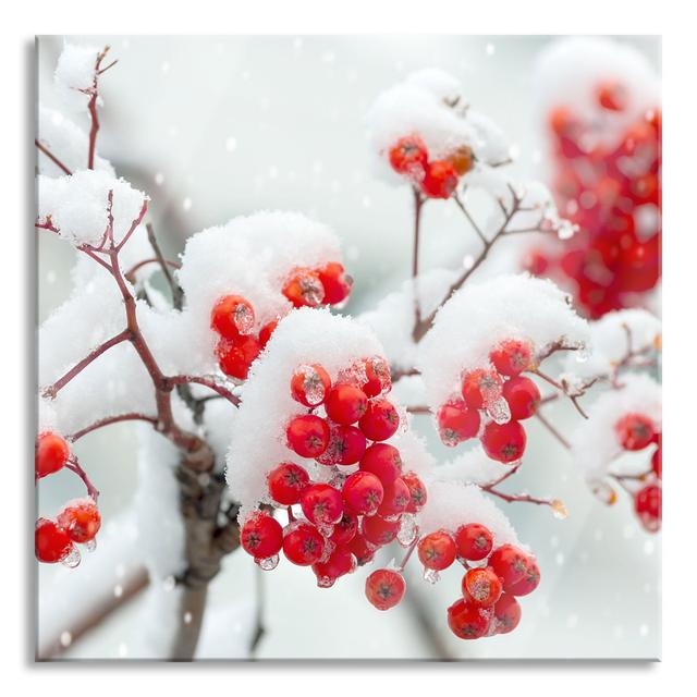 Frozen Branches - Unframed Photograph on Glass The Seasonal Aisle Size: 80cm H x 80cm W x 0.4cm D on Productcaster.