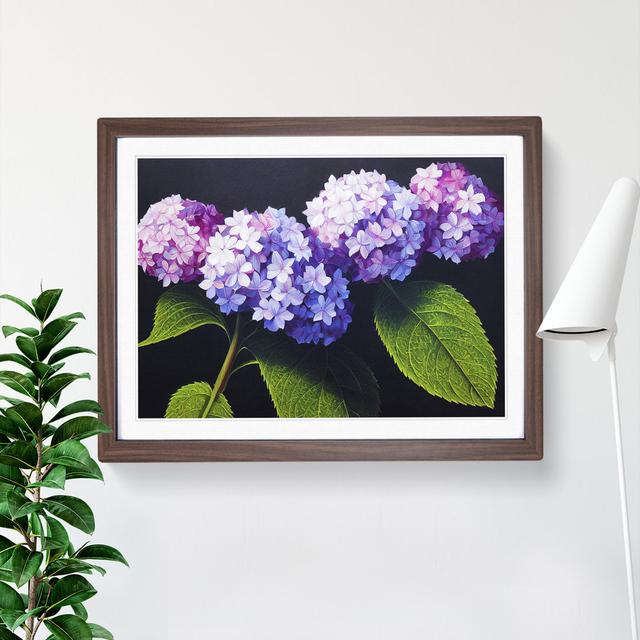 Hydrangea Flower View Vol.2 - Single Picture Frame Print Marlow Home Co. Size: 25cm H x 34cm W x 2cm D, Frame Colour: Walnut on Productcaster.