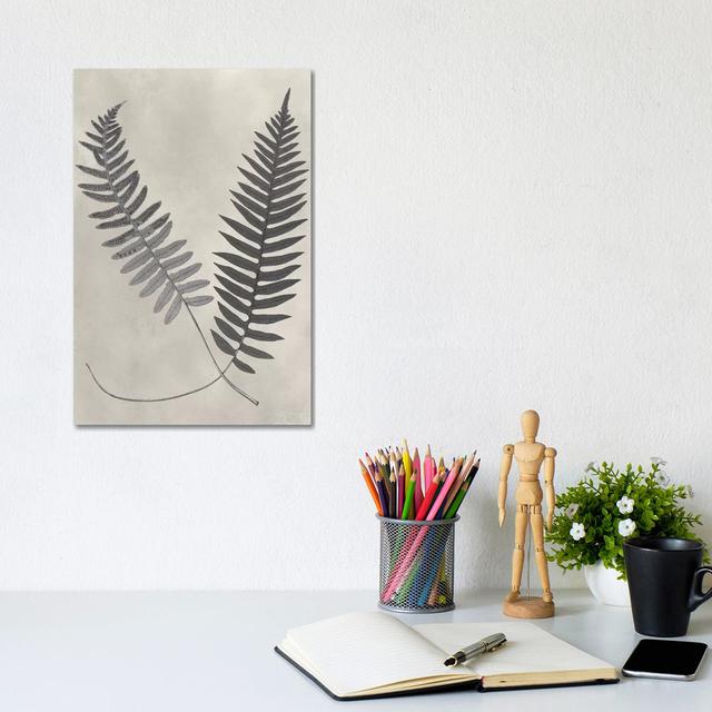 Vintage Fern Study III by Vision Studio - Wrapped Canvas Art Prints 17 Stories Size: 30.48 cm H x 20.32 cm W on Productcaster.