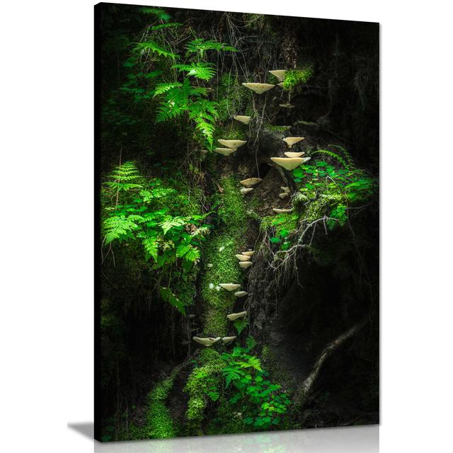 Ferns & Tree Mushrooms - Wrapped Canvas Photograph Panther Print Size: 46cm H x 31cm W on Productcaster.