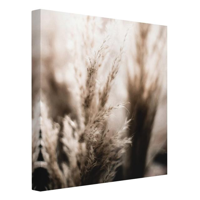 Pampas Grass in the Shade by Monika Strigel - Wrapped Canvas Graphic Art Ebern Designs Size: 60cm H x 60cm W on Productcaster.