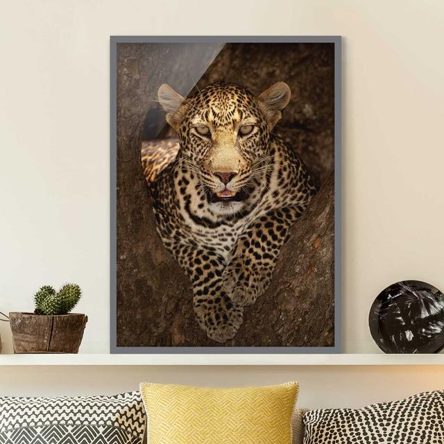 Leopard Resting on a Tree - Picture Frame Graphic Art Mercer41 Size: 40cm H x 30cm W x 2cm D, Frame Option: Grey Framed on Productcaster.