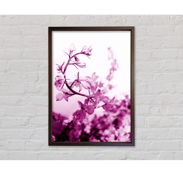 Cherry Blossom Framed Print Bright Star Size: 59.7cm H x 84.1cm W on Productcaster.