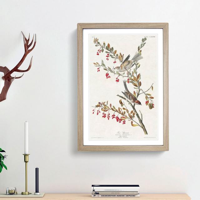 Tree Sparrows by John Audubon - Picture Frame Painting Print East Urban Home Size: 65cm H x 48cm W x 2cm D, Frame Option: Oak Framed on Productcaster.