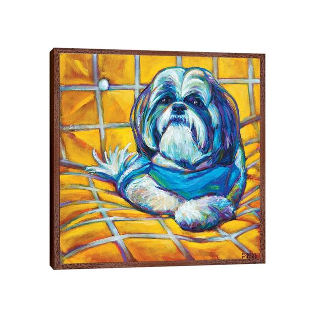 Shih Tzu by Robert Phelps - Print on Canvas Ebern Designs Size: 93.98cm H x 93.98cm W x 3.81cm D, Format: Classic Wood Framed on Productcaster.