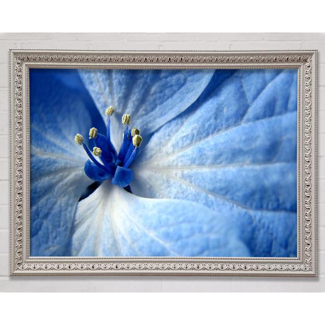 Single Picture Frame Art Prints Bright Star Size: 21cm H x 29.7cm W x 3cm D on Productcaster.