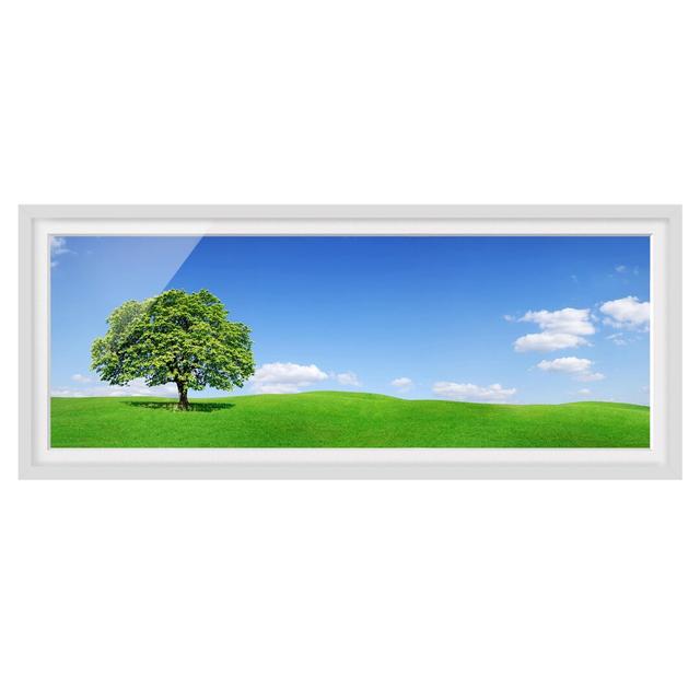 Panoramic - Picture Frame Graphic Art Ebern Designs Size: 50cm H x 130cm W x 2cm D, Frame Option: White Framed on Productcaster.