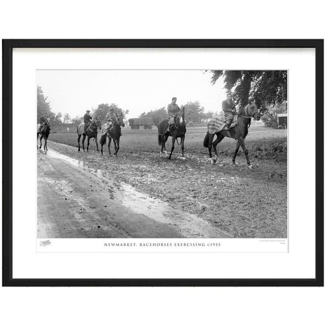 Newmarket, Racehorses Exercising C1955 by Francis Frith - Single Picture Frame Print The Francis Frith Collection Size: 28cm H x 36cm W x 2.3cm D on Productcaster.