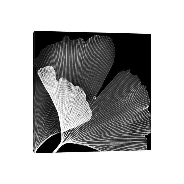 Ginko Square I 1PC3 Rosalind Wheeler Size: 12" H x 12" W, Format: Wrapped Canvas on Productcaster.