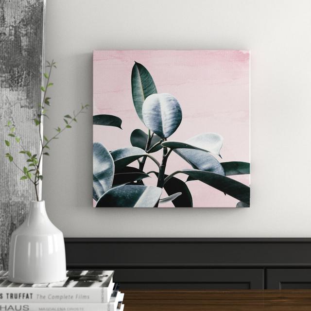 Plant Life Blush by Oliver Gal - Wrapped Canvas Graphic Art Print East Urban Home Size: 76cm H x 76cm W x 4cm D on Productcaster.