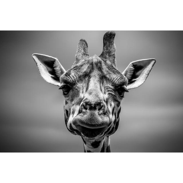 High Contrast Giraffe - Wrapped Canvas Art Prints Latitude Run Size: 51cm H x 76cm W on Productcaster.