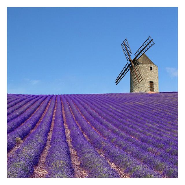 Lavender Scent in Provence 3.36m x 3.36m Textured Matte Peel & Stick Wall Mural East Urban Home on Productcaster.