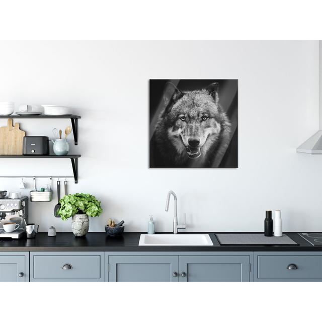 Close-Up of a Wolf with an Open Snout - Unframed Photograph on Glass Alpen Home Size: 70cm H x 70cm W x 0.4cm D on Productcaster.