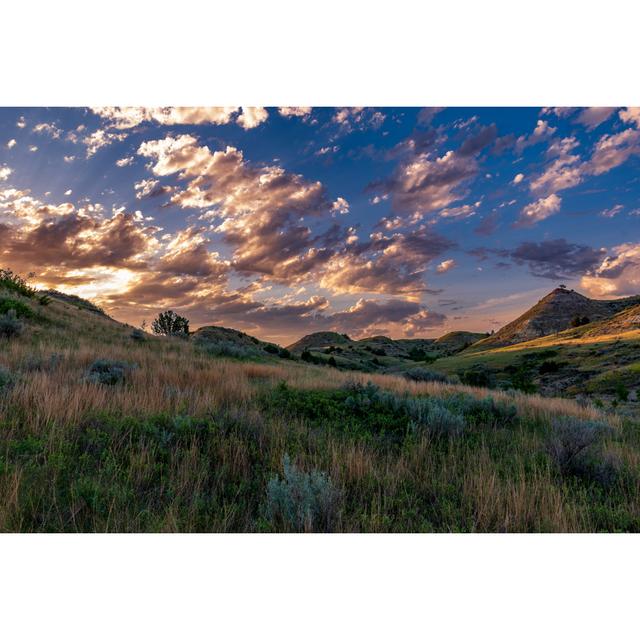 Theodore Roosevelt National Park by Nathan Wasylewski - Wrapped Canvas Print Alpen Home Size: 81cm H x 122cm W on Productcaster.