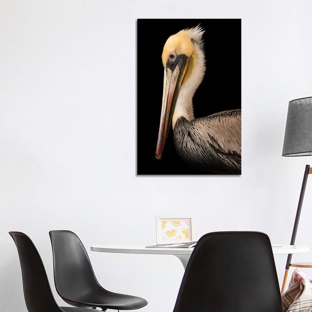 A Brown Pelican At The Santa Barbara Wildlife Care Network by Joel Sartore - Gallery-Wrapped Canvas Giclée on Canvas Beachcrest Home Format: Canvas, S on Productcaster.