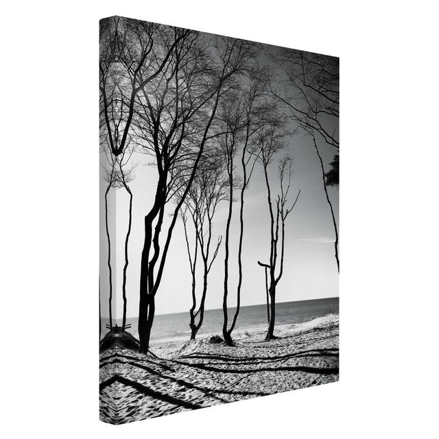 Trees by the Baltic Sea - Wrapped Canvas Photograph Ebern Designs Format: Canvas 260g/m², Size: 90cm H x 60cm W on Productcaster.