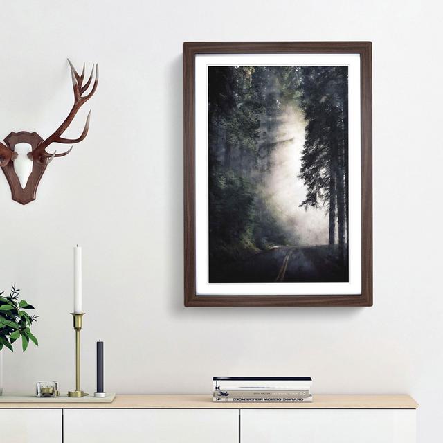 Forest Light - Picture Frame Painting Print East Urban Home Size: 45cm H x 33cm W x 2cm D, Frame Option: Walnut Framed on Productcaster.