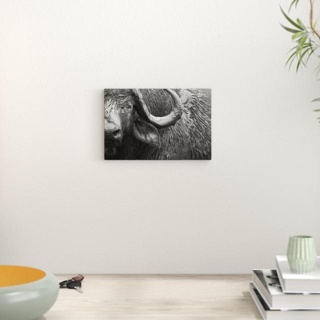 Be a Buffalo by Oliver Gal - Graphic Art Print East Urban Home Format: Canvas, Size: 61cm H x 91cm W x 1cm D on Productcaster.