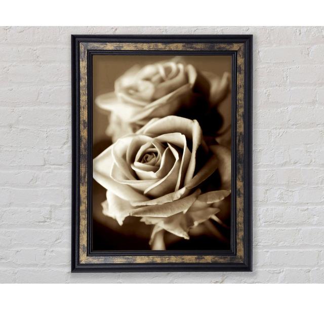 Sunning Sepia Roses - Print Canora Grey Size: 21cm H x 42cm W x 8cm D, Format: Gold Black Framed Paper on Productcaster.