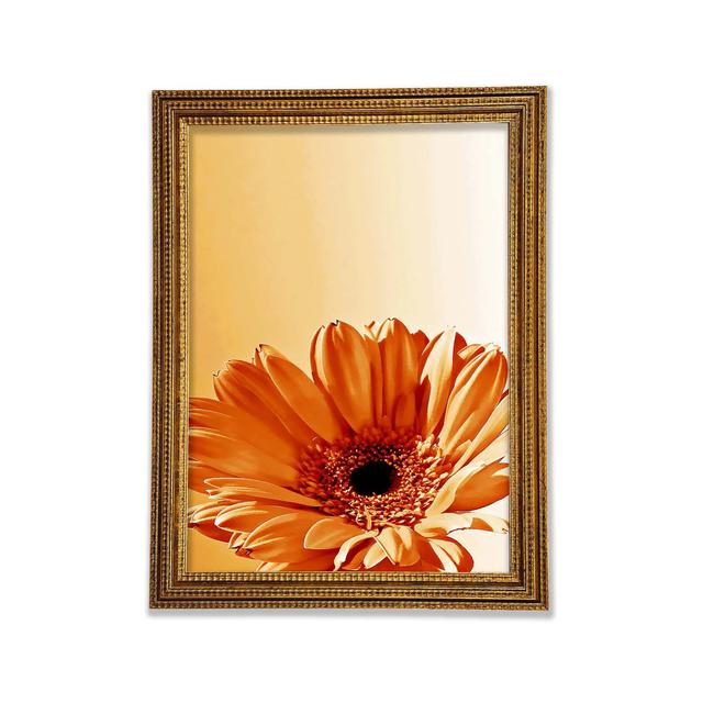 Flower Cocoa Sunshine Framed Print Ebern Designs Size: 29.1cm H x 42cm W on Productcaster.