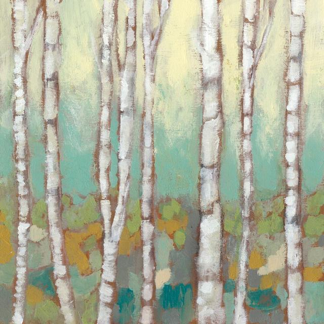 Kaleidoscope Birches I by Jennifer Goldberger - Wrapped Canvas Art Prints Alpen Home Size: 30cm H x 30cm W x 3.8cm D on Productcaster.